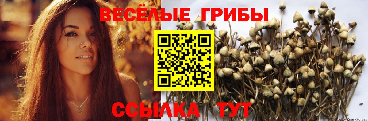 Псилоцибиновые грибы Psilocybine cubensis  Вход с VPN  где купить наркоту  Верхний Уфалей 